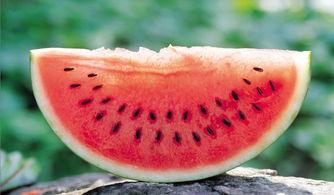 会长吃瓜爆料准吗,揭秘娱乐圈真相，准确度令人惊叹