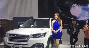 精选国产,精选国产生态的崛起与未来展望